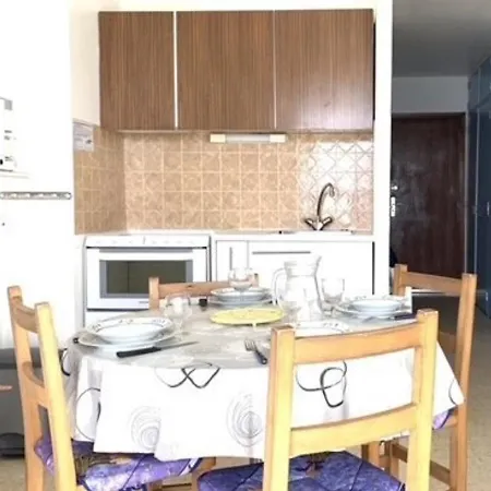 26m² Sud/est Avec Balcon A Balaruc-les-bains, Animaux Acceptes - Fr-1-503-69 *
