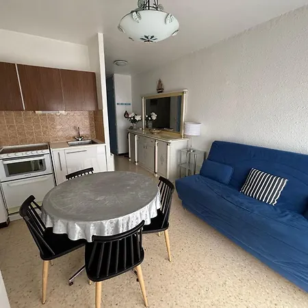26m² Sud/est Avec Balcon A Balaruc-les-bains, Animaux Acceptes - Fr-1-503-69 * Balaruc-les-Bains